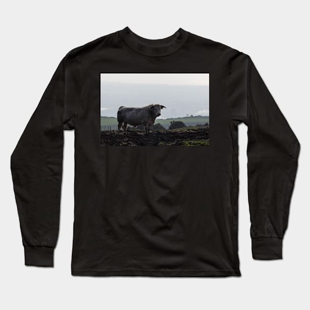 Stance - Margam Bull - 2012 Long Sleeve T-Shirt by SimplyMrHill